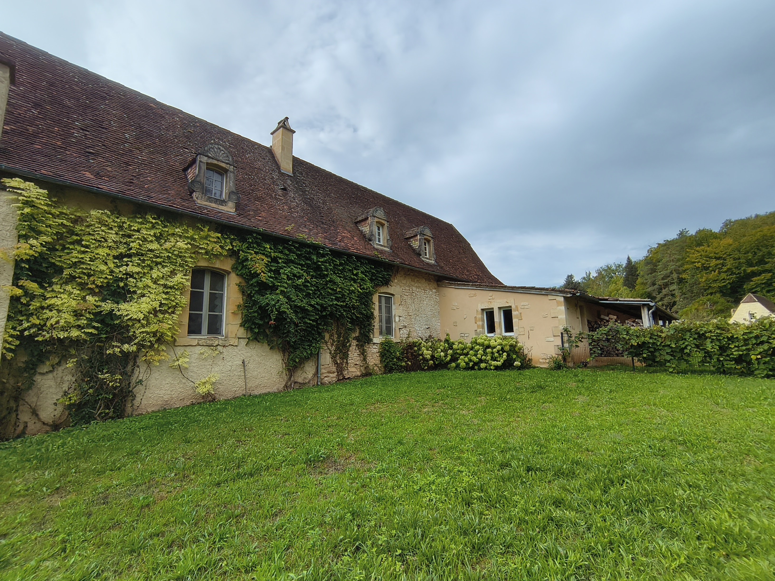 Vue latérale de la propriété avec lierre